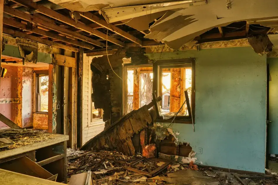 Oxnard's Trusted Mold Removal Specialists — Oxnard, CA