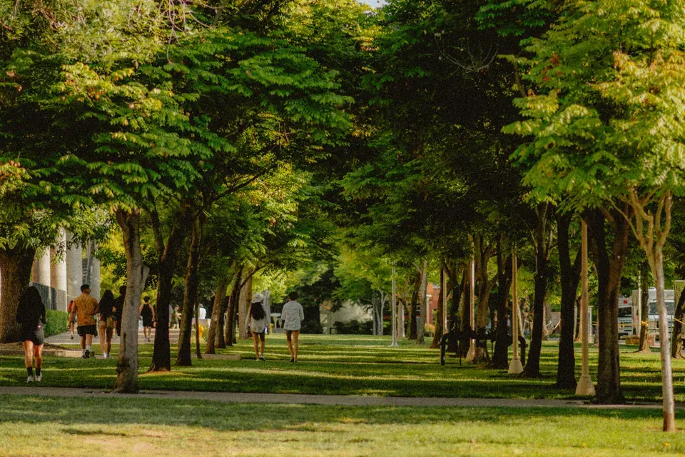 Targeted Mold Solutions for Meiners Oaks Microclimates — Meiners Oaks, CA